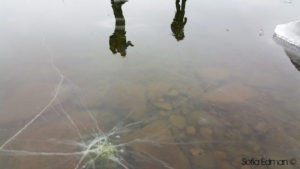 Spegelblank is på Yxningen